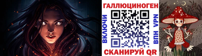 дарнет шоп  Бердск  Галлюциногенные грибы мицелий 